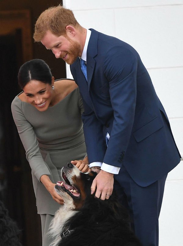 Harry and Meghan with dog