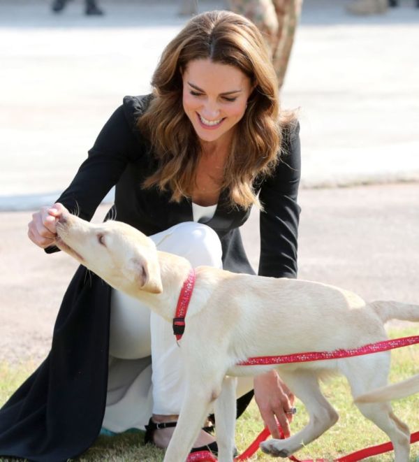 William And Kate Visit Army Canine Centre As Last Engagement Of The Tour