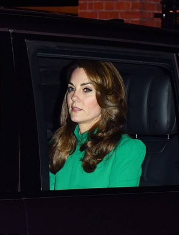 Kate Sparkles In Green Outfit For The Queen's NATO Reception
