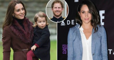 Prince Harry has reportedly introduced his girlfriend Meghan Markle to Prince George and Princess Charlotte