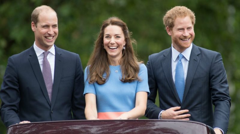 Harry hopes Kate is pregnant with twins
