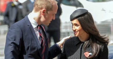 prince william and meghan