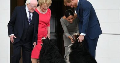 Harry And Meghan Gave Their New Dog An Adorable Name!