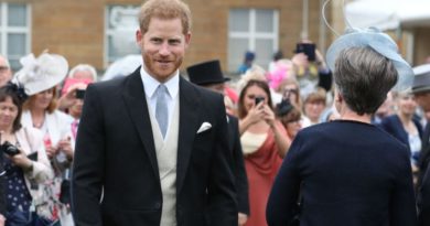 Harry Hit Back At Journalist For Asking Personal Royal Birth Question