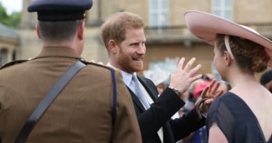 Harry's Sweet Nod To Wife Meghan At The Garden Party
