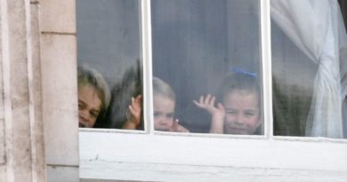 George Charlotte And Louis Spotted Peeking Of Window At Trooping The Colour