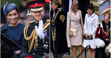 Why Didn't Harry And Meghan Attend Garter Day Celebration