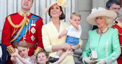 prince louis and camilla