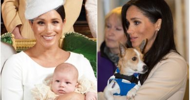 Meghan Wants Archie To Have A Rescue Dog