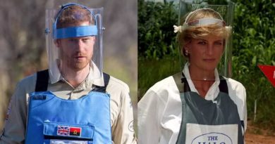 Prince Harry Follows In Mom Diana's Footsteps at Angolan Landmine