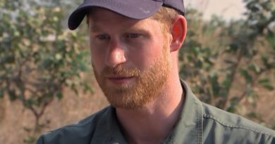 Harry Discusses Moving To Africa With Meghan And Archie In A New Documentary