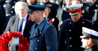 Why Harry Wore His Poppy Differently From The Rest Of The Royals