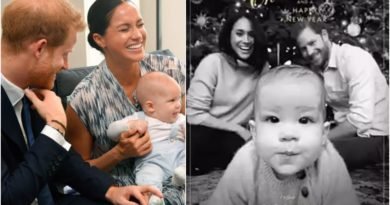 Harry And Meghan First Christmas Card With Archie Released (2)
