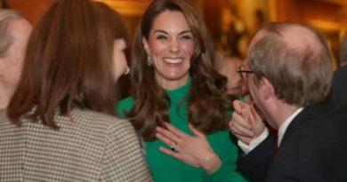 Kate Sparkles In Green Outfit For The Queen's NATO Reception