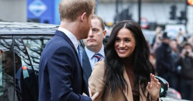Harry And Meghan Back At Royal Duties With A Visit To Canada House