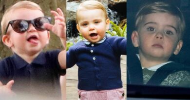 Prince Louis Facts