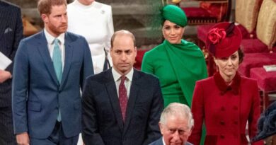 The Reason Why William, Kate, Harry And Meghan Didn't Shake Hands At Commonwealth Day 2