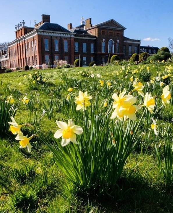 Prince William Kate Easter photo yellow flowers Kensington Palace