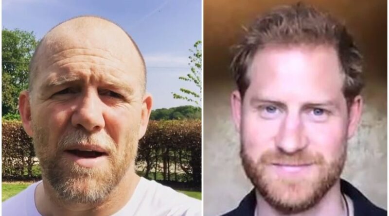 MIKE TINDALL TALKED ABOUT HOW PRINCE HARRY WAS GOING TO BE A GREAT DAD A YEAR AGO