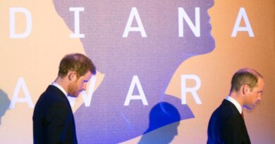 Prince William And Prince Harry Reunite In Honour Of Princess Diana