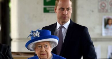 How Prince William Quit Dream Job Due To The Queen-fire-in-London