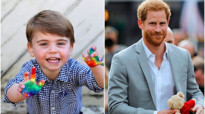Prince Harry Bought The Perfect Gift For Prince Louis