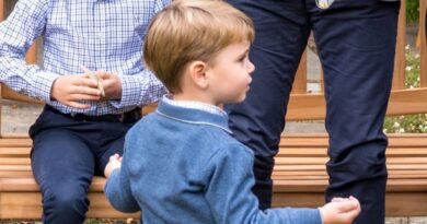 Royal Fans Notice Special Detail In Prince Louis New Photo