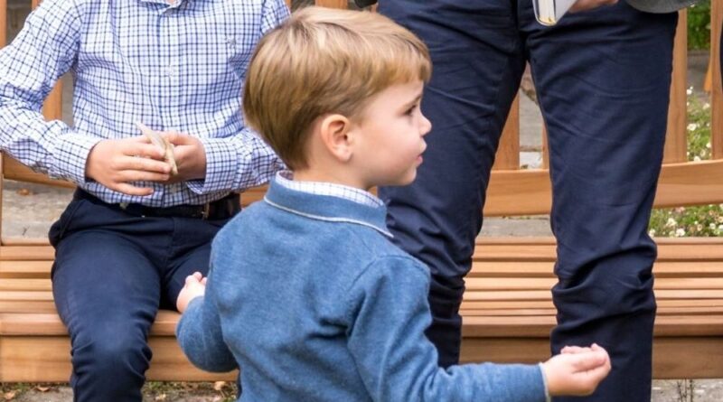 Royal Fans Notice Special Detail In Prince Louis New Photo