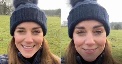 Duchess of Cambridge Reaches Out To Parent In Surprise Selfie Video