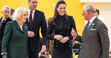 Prince Charles, Camila, Prince William and Kate