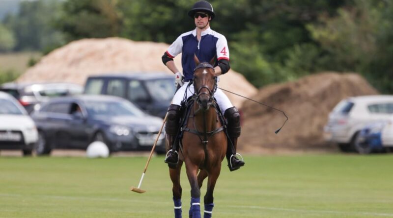 Prince William Returns To Polo Field For Important Reason