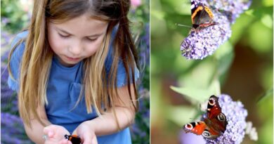 Princess Charlotte Cradles Butterfly In New Unseen Photo