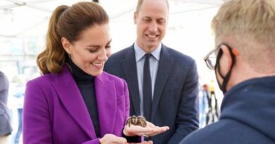 Fearless Duchess Kate Meets Charlotte The Tarantula