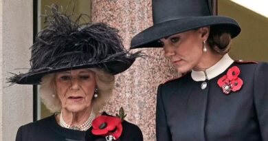 Duchess Kate Takes The Queen’s Place At Remembrance Sunday Service