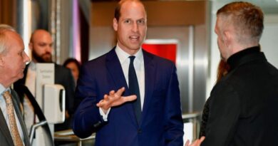 Prince William Attends Tusk Conservation Awards Without Duchess Kate