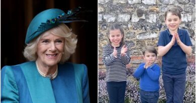 The Christmas Gift Camilla Might Have Bought George, Charlotte And Louis (1)