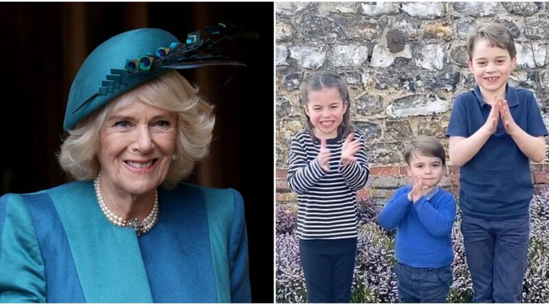 The Christmas Gift Camilla Might Have Bought George, Charlotte And Louis (1)