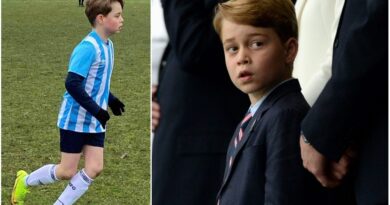 New Photo Of Prince George Playing Football Match Released