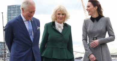 Duchess Kate Joins Prince Charles And Camilla For Joint Engagement