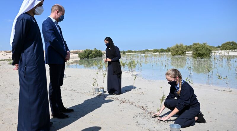 Prince William Plants Trees With Children In Abu Dhabi