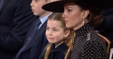 Princess Charlotte Adorable Reaction To Seeing Herself On TV