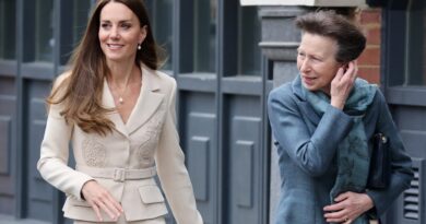 Why Princess Anne Took Precedence Over Duchess Kate On Their Engagement