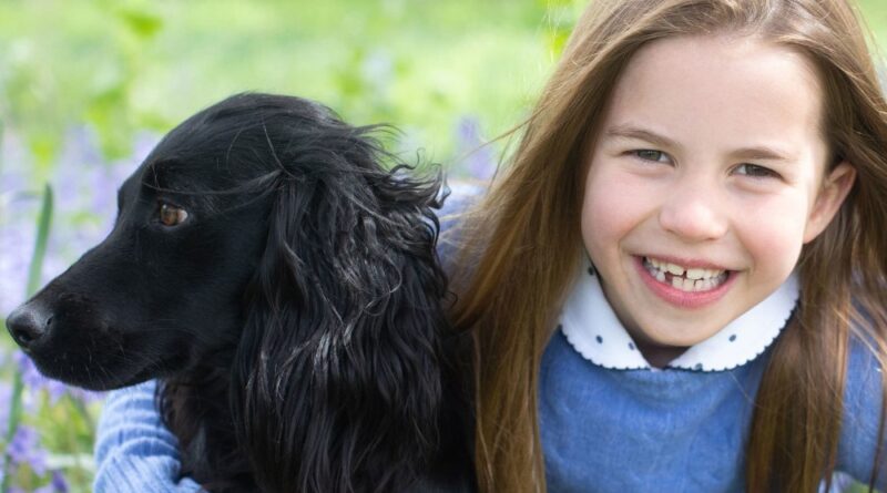 The Meaning Behind The Name Of The Cambridges New Dog