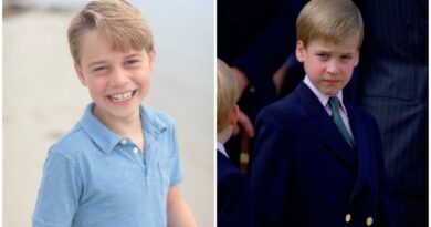 Prince George Is Prince William's Twin In New Photo