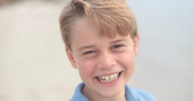 Smiling Prince George Poses For 9th Birthday Portrait