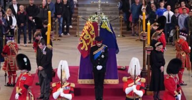 Prince Harry In Uniform Leads With Brother William A Historic Vigil By Queen's Coffin