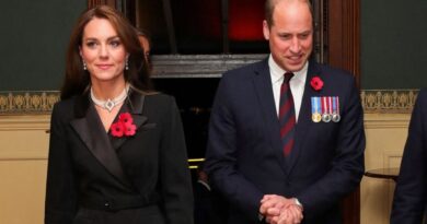 Prince William And Kate Join Other Royals At Festival Of Remembrance