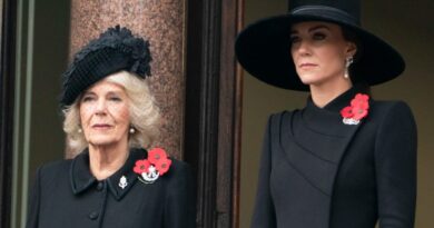Why Princess Kate And Queen Consort Camilla Wore Three Poppies On Remembrance Day