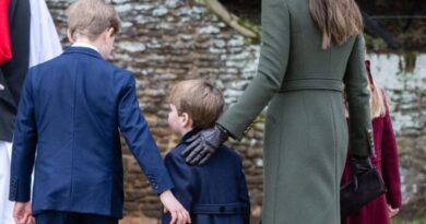 Prince George guides younger brother Prince Louis 1
