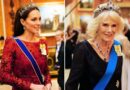 Princess Of Wales Kate Queen Consort Camilla Diplomatic Reception Queen's brooch
